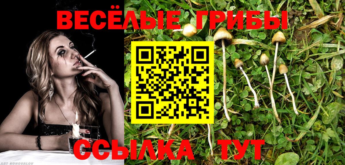 Псилоцибиновые грибы мицелий  Вход с VPN  купить наркоту  Строитель 